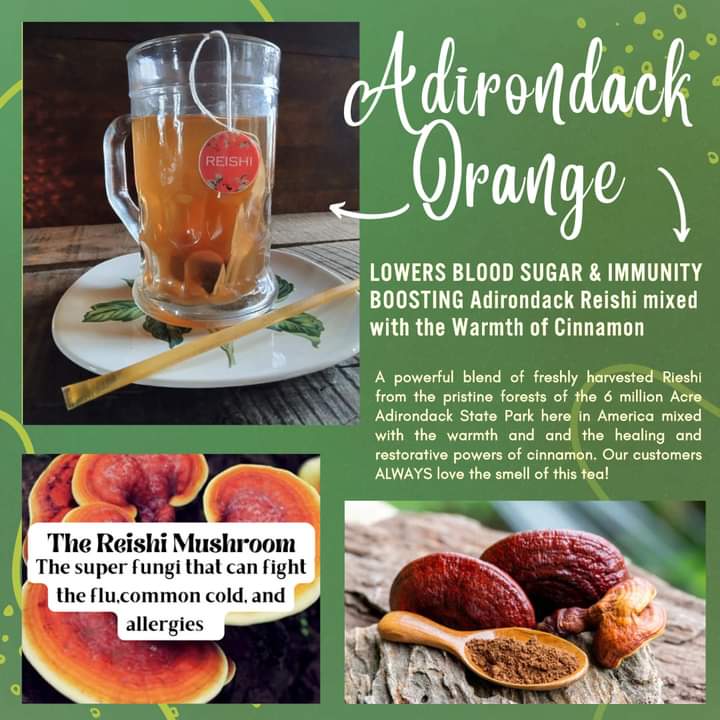 LOWER YOUR BLOOD SUGAR & IMMUNITY BOOSTING Adirondack Reishi mixed with the Warmth of Cinnamon