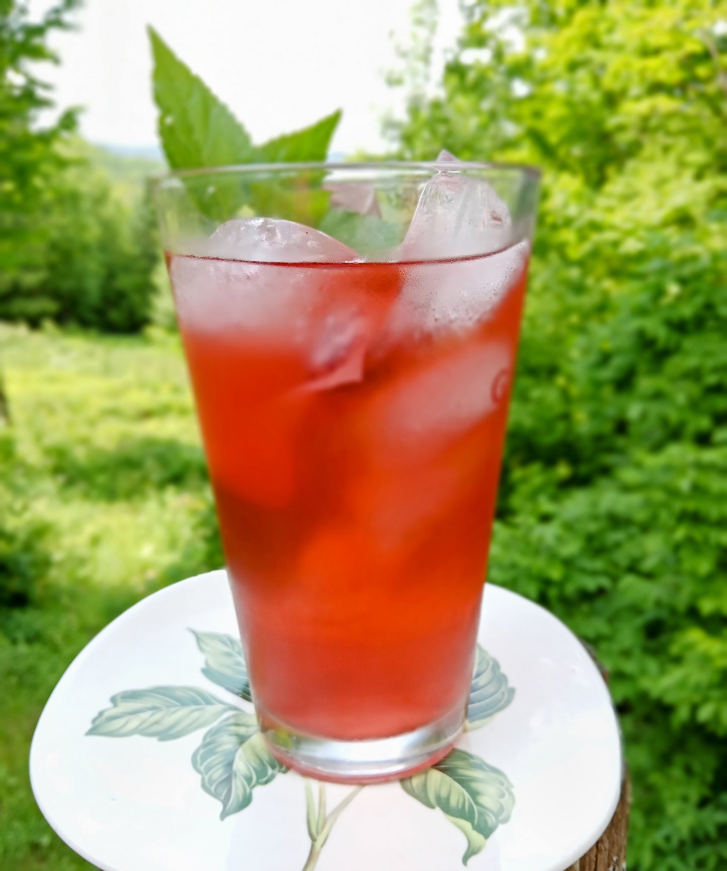 Healing Hibiscus Tea