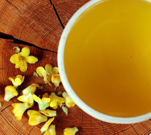 Adirondack Mint & Mullein Tea to cleanse your lungs and boost your digestion