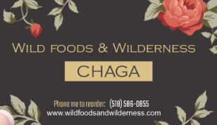 ADIRONDACK CHAGA: WHOLE BODY IMMUNITY, mild tasting Adirondack Park, N.Y. American Chaga