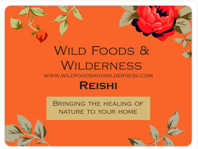 LOWER YOUR BLOOD SUGAR & IMMUNITY BOOSTING Adirondack Reishi mixed with the Warmth of Cinnamon