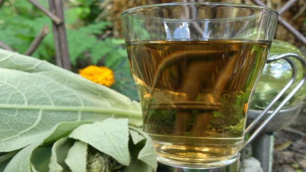 Adirondack Mint & Mullein Tea to cleanse your lungs and boost your digestion