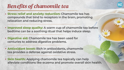 The Gentle Giant: Chamomile Turmeric