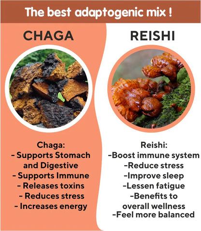BUNDLE AND SAVE BIG:  on our Medicinal Chaga and Reishi Mushroom Teas