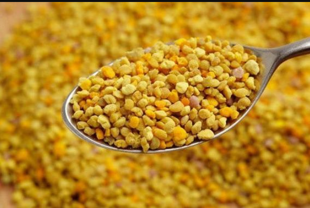 ADIRONDACK YELLOW: Natures Sweet  & Gentle Tasting Bee Pollen For Stamina &  Freshly Harvested Mullen for a Cough  and Immunity Kick