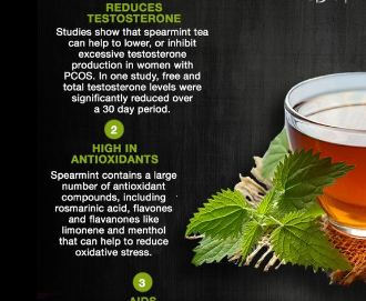 Spearmint Tea_ A simple plant that helps prevent unwanted facial hair to lowering blood pressure