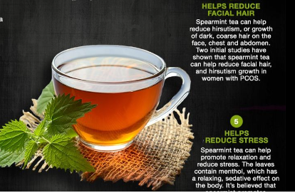 Spearmint Tea_ A simple plant that helps prevent unwanted facial hair to lowering blood pressure