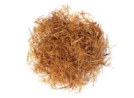 LIONS MANE MUSHROOM: Help boost MEMORY & FOCUS, calm anxiety, paired with Cats Claw Tea for arthritis
