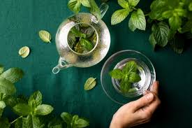 Spearmint Tea_ A simple plant that helps prevent unwanted facial hair to lowering blood pressure