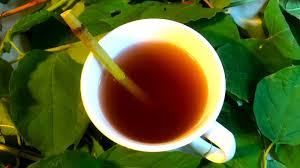 HELPING TO HEAL Lymes Disease symptoms and a huge boost of help for Arthritis