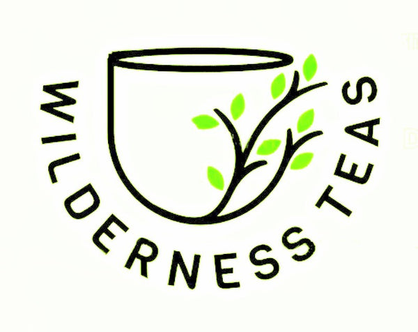 Wild Foods and Wilderness Teas with Melanie Sawyer